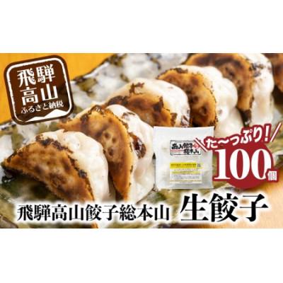 ふるさと納税 高山市 飛騨高山餃子100個入(生冷凍)簡易包装　TR3493