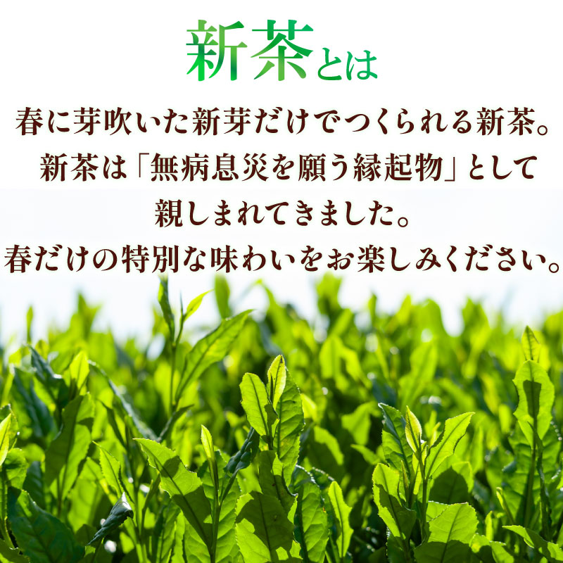 2026年度産 新茶 青葉100g×3袋 お茶 静岡 新茶 静岡 県 牧之原市 相良物産 青葉100g×3袋