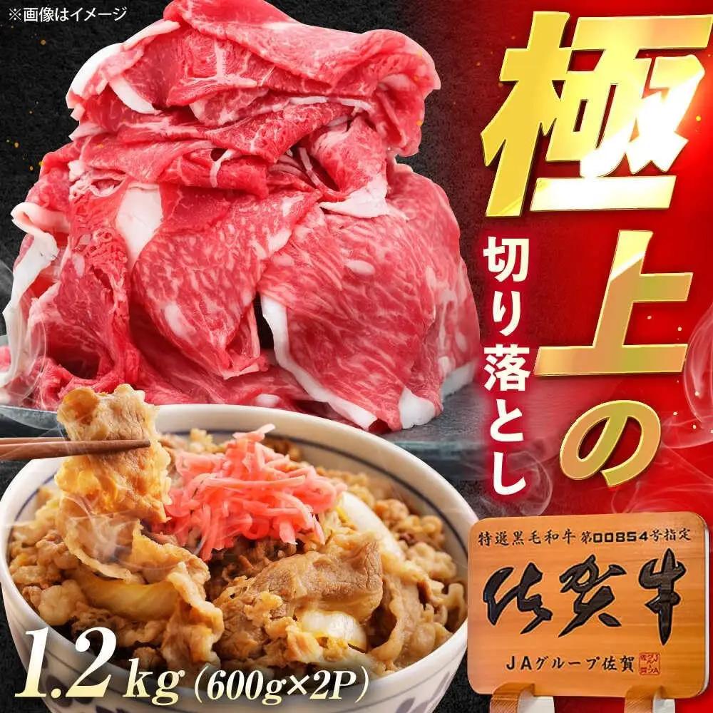 佐賀牛 牛肉 切り落とし 1.2kg 切落し [UEM034]