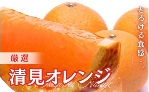 ＜2月より発送＞厳選 清見オレンジ4kg+120g（傷み補償分）【光センサー食頃出荷】【樹上完熟きよみオレンジ・清見タンゴール・清美】 ※北海道・沖縄・離島への配送不可【ikd197】