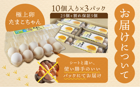 【3回定期便】コク旨 極上卵 30個 割れ保証付き