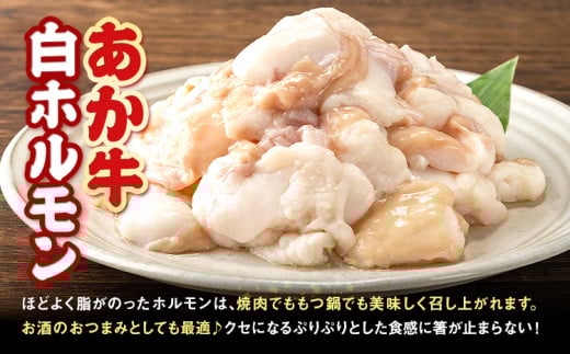 あか牛 白ホルモン 3kg 6ヶ月定期便 五右衛門フーズ 《お申込み月の翌月から出荷開始》 熊本県 球磨郡 山江村 牛肉 肉 国産 熊本県産 ブランド牛 絶品 贅沢 高級 あか牛 ホルモン もつ モツ