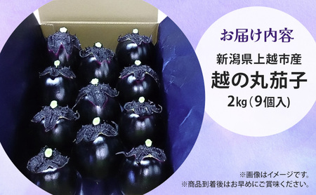 【先行予約　7月上旬より順次出荷】新潟県上越市産　茄子の大トロ　越の丸茄子2kg詰め（9個入）ナス　丸茄子　野菜　新潟　上越