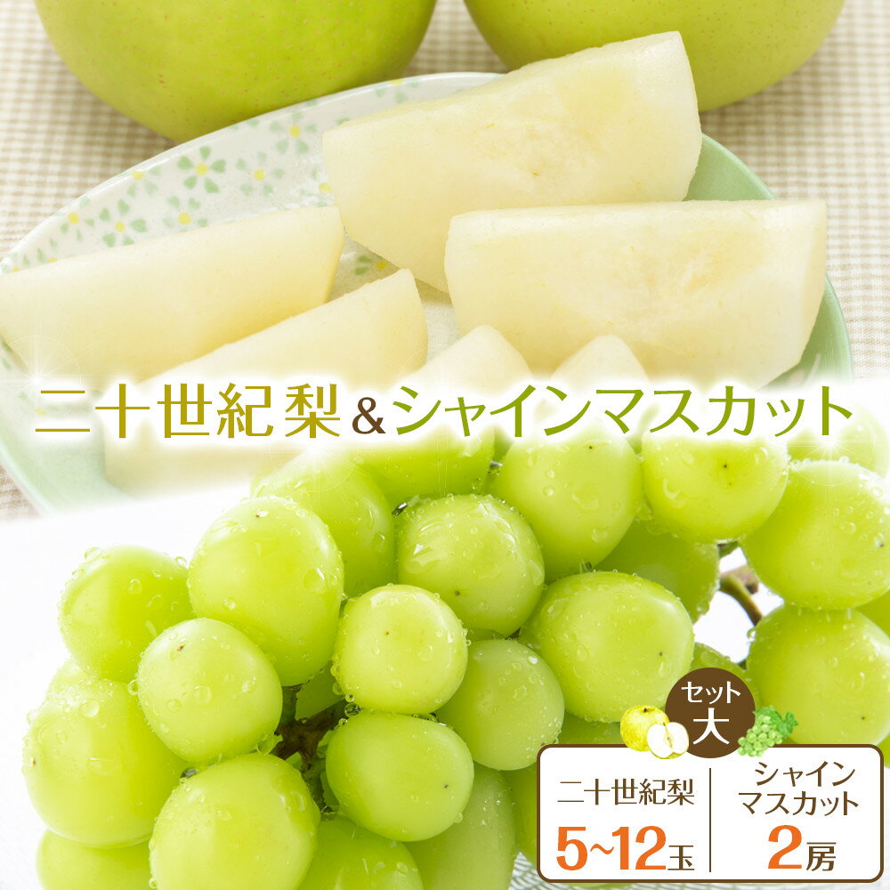 【ふるさと納税】285.【先行予約】二十世紀梨とシャインマスカットのセット 大 ※8月下旬～9月下旬頃に順次発送予定 | 先行予約 梨 なし 果物 フルーツ くだもの 鳥取県 北栄町 おすすめ 人気 送料無料