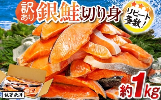 訳あり 塩銀鮭 切り身 約1kg 冷凍 おかず 惣菜 さけ サケ 海鮮 魚 大容量 冷凍 銀鮭 塩鮭 塩さけ 肉 厚 さけ サケ しゃけ シャケ 魚 海鮮 塩 鮭 魚介 魚貝 おつまみ おかず 惣菜 弁当 大容量 人気 不揃い 規格外 傷 食品 冷凍食品 グルメ 贈答 贈物 ギフト 長期保存 小分け お取り寄せ ふるさと納税 ふるさと納税鮭 ふるさと納税サケ 千葉県 銚子市 銚子東洋