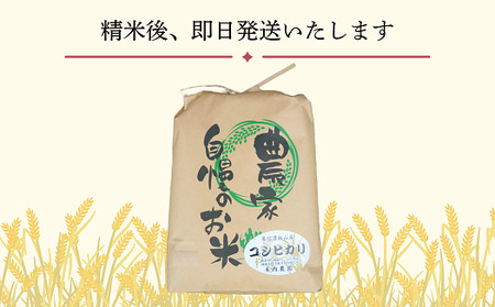 【先行予約】【定期便】[令和７年産 新米]  奥信濃飯山～木内ファームのお米～ コシヒカリ 精米 10kg×3回(7-16A)