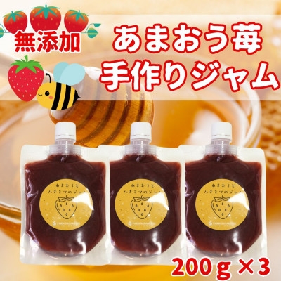 
            いちごジャム 無添加あまおうとハチミツのジャム200g×3袋 手作り国産チューブパウチ入り(福岡県)【1660458】
          
