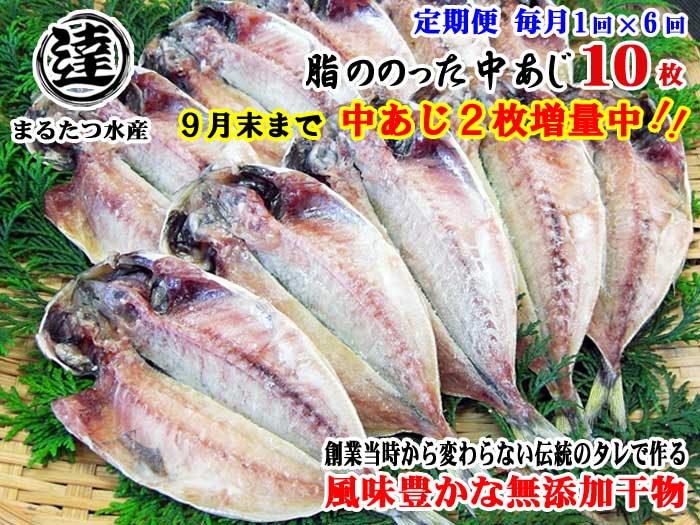 W06【ふるさと納税】【定期便 全6回】創業32年 自社工場 製造直売 完全無添加 伊豆・丸達 脂ののった中あじ ひもの10枚+2枚 合計12枚セット 9月末まで増量中 毎月1回×6回