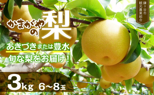 ※先行予約※　かまがやの梨【豊水・あきづきなど旬な梨をお届け】約3㎏