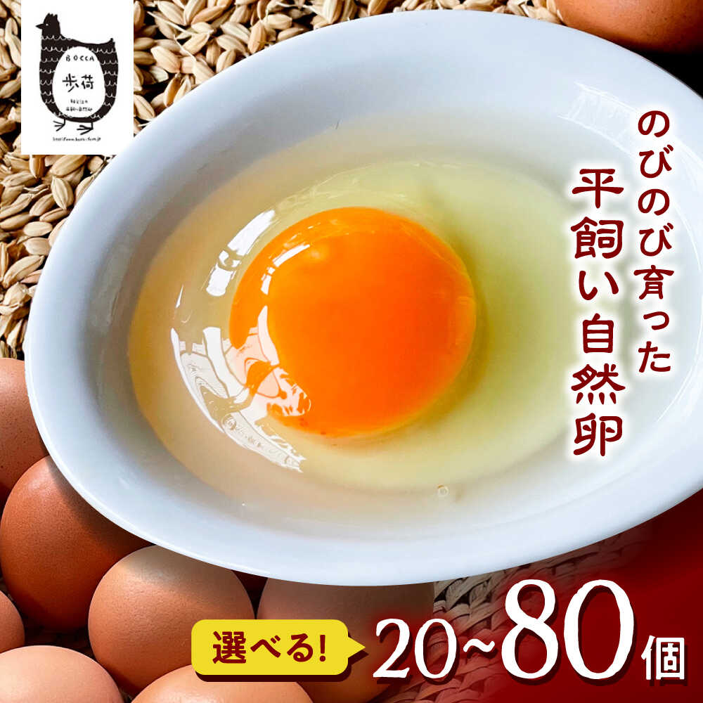 【ふるさと納税】【選べる内容量】放し飼い 自然卵 「歩荷」 （20個〜80個） / 卵 たまご 鶏卵 玉子 平飼い / 稲沢市 / 平飼い自然卵歩荷[BMBM001]