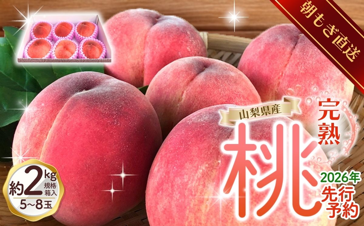 【来年2026年出荷分 先行予約】朝もぎ直送!『山梨県産　桃』約5～8玉 約2kg規格箱入り【高機能共選機使用】選び抜かれた桃《 もも 》　山梨県産 モモ【tab0182-2026】