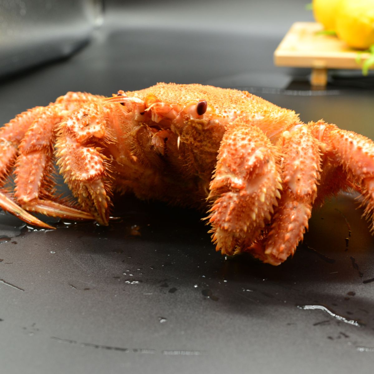 【ふるさと納税】 流氷海明け・活〆茹で毛蟹約800g 選べる 1尾 ～ 2尾 冷蔵便届け 【 ふるさと納税 人気 おすすめ ランキング 毛がに 毛ガニ 毛蟹 カニ ガニ 蟹 かに ケガニ 冷蔵 800g 1尾 2尾 オホーツク海産 流氷明け オホーツク 北海道 網走市 送料無料 】 ABAO110