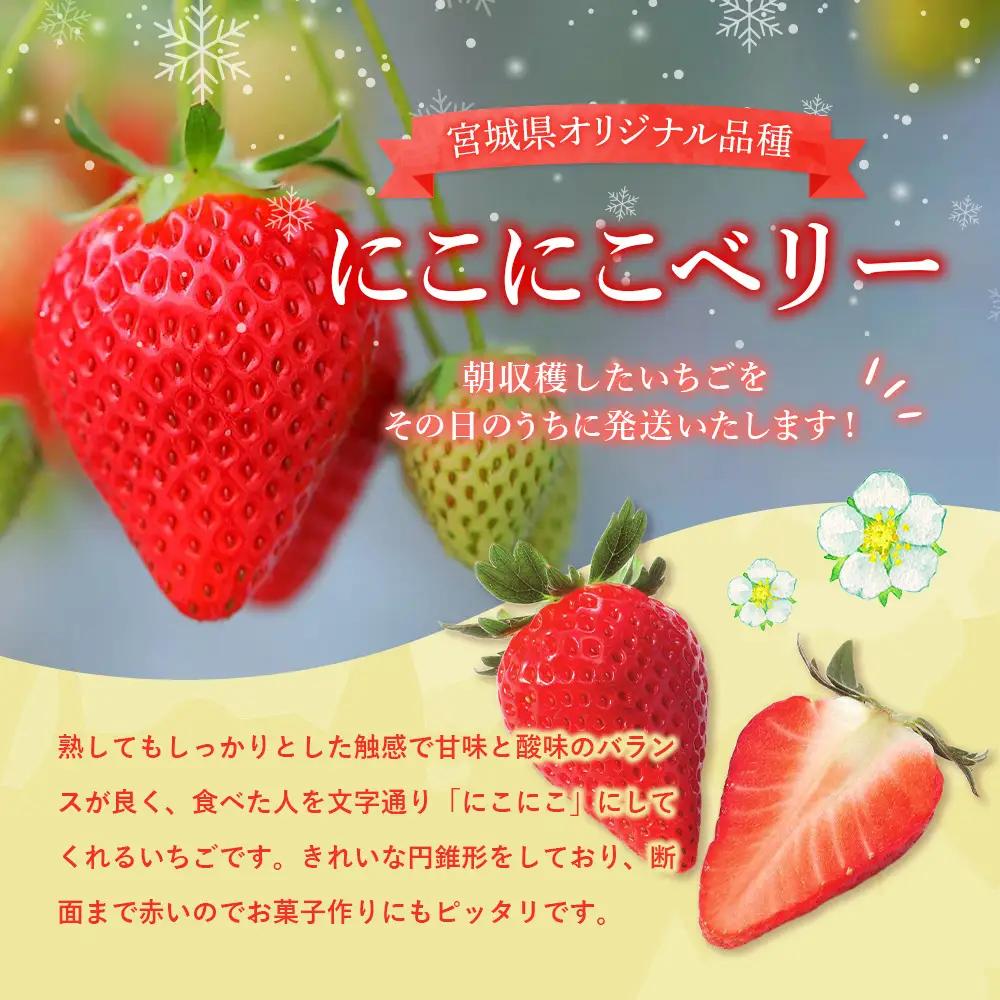 【先行受付】宮城県産いちご「にこにこベリー」約1kg（250ｇ×4）【58002】