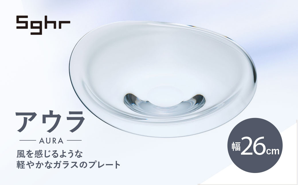 
            ＜Sghr スガハラ＞アウラ　26cmプレート(クリアー)【 ふるさと納税 ガラス 食器 皿 雑貨 陶器 手作り ギフト 贈答用 プレゼント 人気 おすすめ ランキング 千葉県 大網白里市 送料無料 】 O017
          