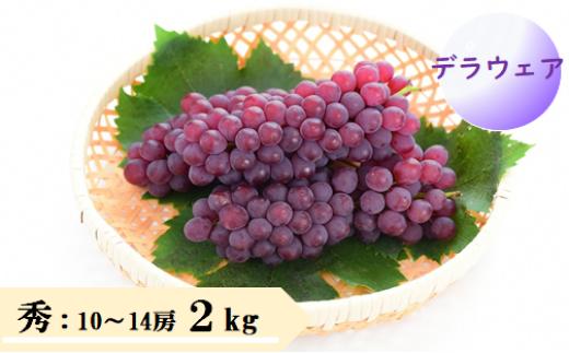 08-08-006　ぶどう(デラウェア)2kg