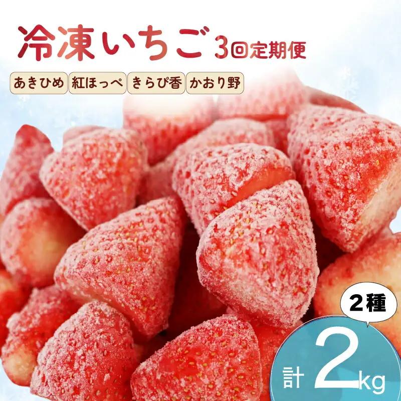 いちご 冷凍 3ヶ月 定期便 2kg  いちご