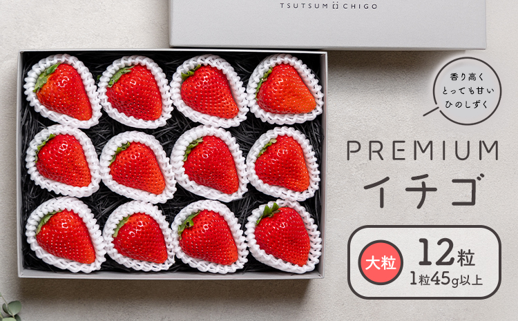 PREMIUMイチゴ 12玉 1玉45g以上 ひのしずく いちご イチゴ 苺《2026年2月発送予定》ヴァリアス株式会社 果物 くだもの フルーツ 希少 ギフト プレゼント 贈り物 国産 九州産 熊本県 菊池市 送料無料