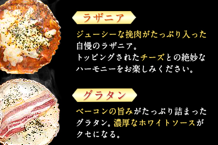 阿蘇の逸品 特製デリカセット 3種類 6個《30日以内に出荷予定(土日祝除く)》 熊本県 南阿蘇村 物産館 自然庵 ラザニア グラタン ベイクドカレー ドリア
