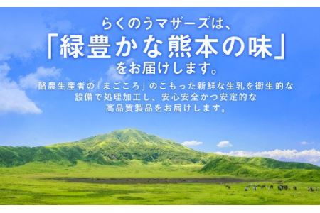 【12ヶ月 定期便】らくのうマザーズ 大阿蘇 牛乳 3.6％ 250ml×24本