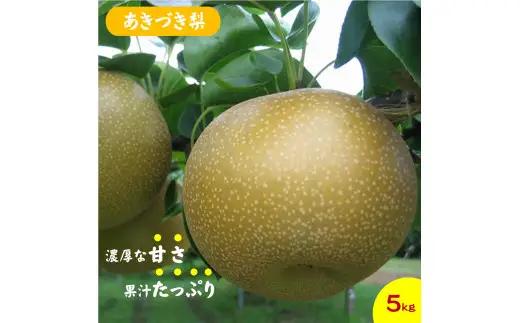 鳥取県産梨「あきづき」5kg