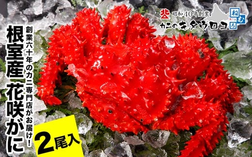 A-25026 【北海道根室産】花咲がに550g～650g前後×2尾