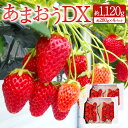 【ふるさと納税】あまおうDX 約280g×4パック 合計約1120g あまおう いちご イチゴ 苺 ストロベリー ベリー 果物 フルーツ 春 旬 冷蔵 福岡県 岡垣町 送料無料 【2025年2月上旬～4月上旬発送予定】