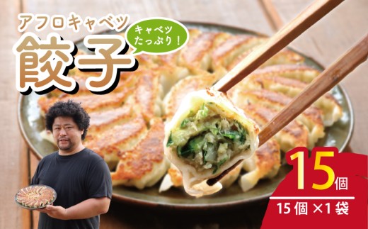 餃子 15個 きゃべつ 餃子 ぎょうざ ギョーザ 肉 汁 豚肉 アフロキャベツ 国産 食品 小分け キャンプ 野菜 やさい 弁当 惣菜 おかず おつまみ 冷凍餃子 冷凍ギョーザ 冷凍 冷凍食品 点心 豚肉 野菜 簡単調理 贈答 贈り物 プレゼント ギフト お取り寄せ グルメ おいしい 家庭用 中華 送料無料 ふるさと納税 ふるさと納税ぎょうざ ふるさと納税餃子 千葉県 銚子市 くるくるやっほー