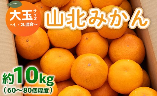 山北みかん 大玉サイズ(L,2Lサイズ) 10kg 約60～80個入り 甘い - 果物 フルーツ 柑橘類 温州みかん ミカン 蜜柑 甘い おいしい 美味しい 山北みらい 高知県 香南市 yk-0049