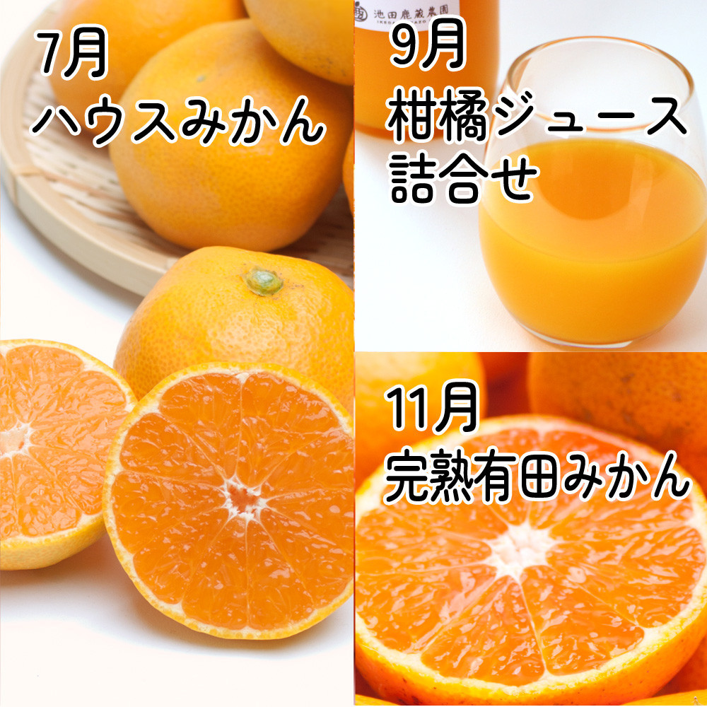 家庭用 柑橘定期便M（奇数月）全6回 ［IKE308］
