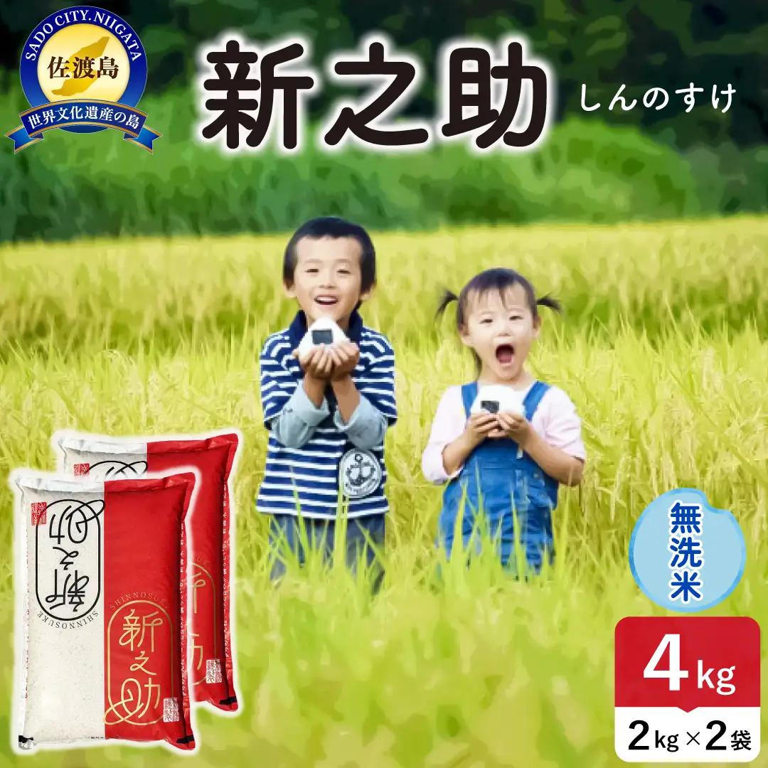 令和8年産 佐渡島産 新之助 無洗米4kg