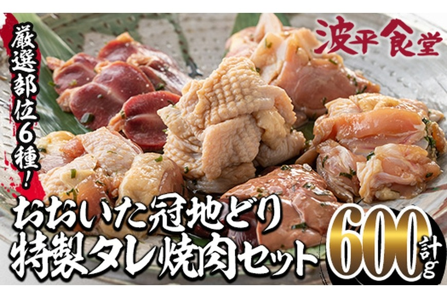 おおいた 冠地どり 厳選部位 6種 食べ比べ 特製 塩麹もみだれ 焼肉セット (合計600g・6種×各100g) 国産 大分県産 鶏肉 もも 砂肝 羽衣 軟骨 皮 レバー 小分け 冷凍 おつまみ 詰め合わせ 【FZ002】【波平食堂】