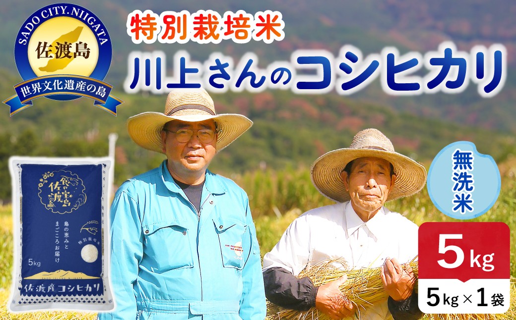 
                  佐渡島産コシヒカリ「川上さんのお米」無洗米5kg 令和7年産 特別栽培米 単一原料米 平清水の水で育てた | 新潟県産コシヒカリ 新潟産コシヒカリ 新潟コシヒカリ 佐渡産コシヒカリ 新潟県産こしひかり 佐渡産こしひかり お米 米 無洗米 むせんまい 精米 おこめ コメ 5キロ 農家直送 にいがた さど 新潟県 佐渡市
                