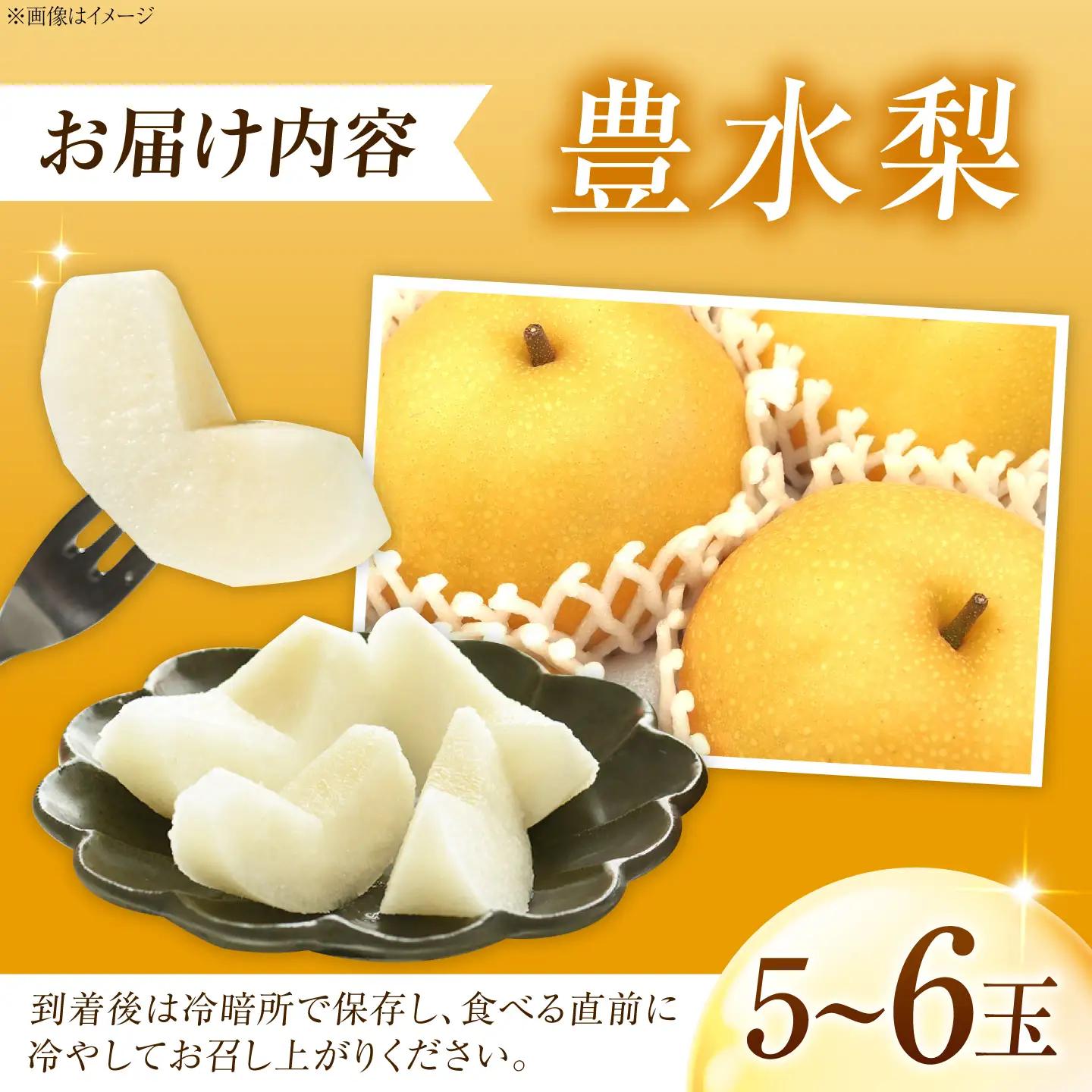 【先行予約】豊水梨 5-6玉入 BKAD110 梨