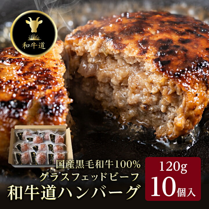 【ふるさと納税】和牛道ハンバーグ120g×10食セット 北海道 大樹町 和牛 国産【配送不可地域：離島】【1439972】