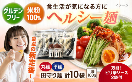 麺 グルテンフリー米粉100％麺　田守り麺2種・ピリ辛ソースセット  [AICU002] 麺