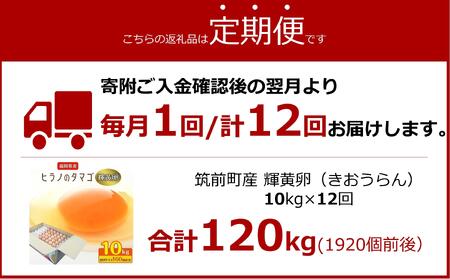 【定期便12回】ヒラノのたまご【輝黄卵(きおうらん)】赤Mサイズ10kg(160個前後)