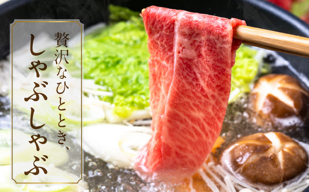 【お歳暮】宮崎牛スライス2種セット500g×2パック≪11月17日～12月21日お届け≫_17-N201-WG