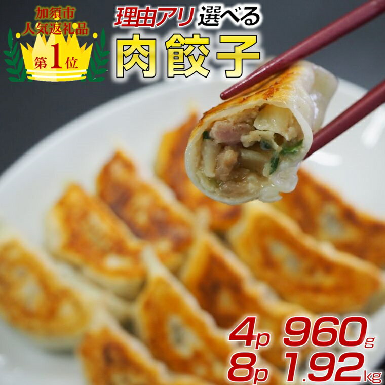 【ふるさと納税】【訳あり】肉汁溢れる冷凍肉餃子 ：4パック or 8パック | 加須市人気No.1獲得実績あり！