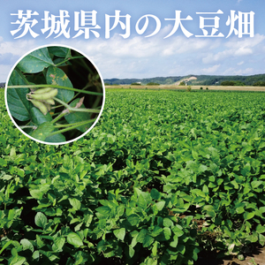 【3ヶ月定期便】TVで紹介！あの男性アイドルが試食した納豆！！水戸 だるま納豆国産小粒３P（１２個入り）×3回【なっとう 茨城県産 こつぶ 3パック セット 大容量 水戸市 茨城県】（AS-5）