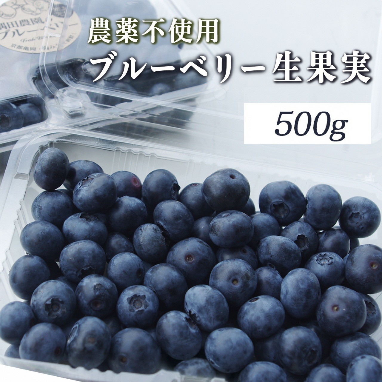 
                  【来シーズン予約】朝摘み ブルーベリー 生果実 500g 栽培期間中農薬不使用＜すだ農園＞ 果実 新鮮フルーツ 冷蔵 ※2027年7月～発送
                