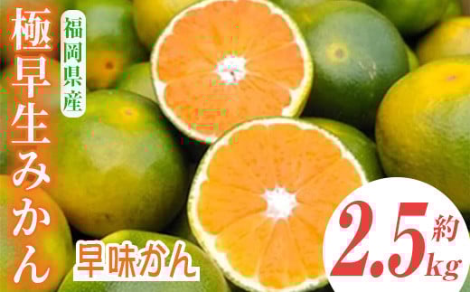 
            ＜先行予約受付中！2025年9月中旬～2025年9月下旬に順次発送予定＞極早生みかん 早味かん(約2.5kg)みかん ミカン フルーツ 果物 くだもの 柑橘 福岡限定 オリジナルブランド＜離島配送不可＞【ksg0117】【南国フルーツ】
          