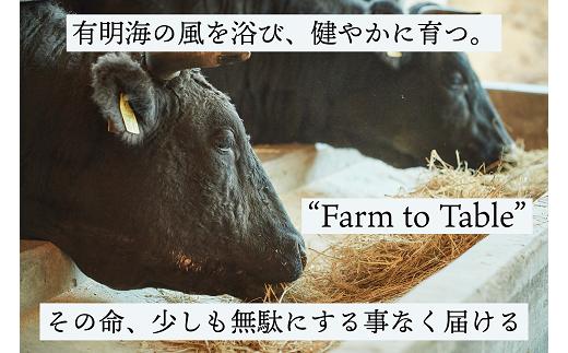 【定期便6回】佐賀牛 赤身ブロック肉 500g：B870-005