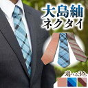 【ふるさと納税】大島紬ネクタイ