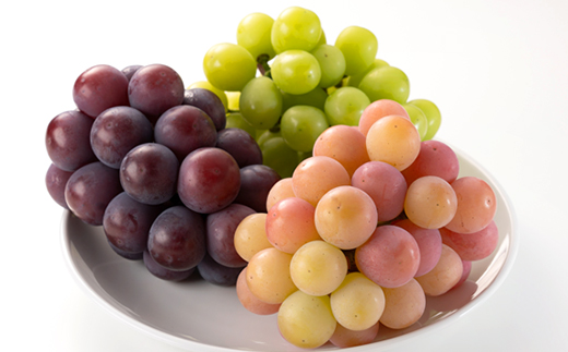 1064.【先行受付】訳あり大粒ぶどう3種セット(10月中旬～11月発送予定)