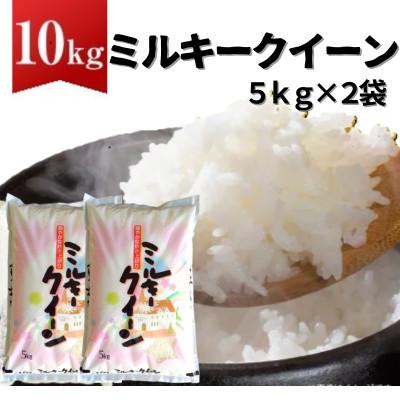 ふるさと納税 桜川市 【令和7年産】 ミルキークイーン 精米 10kg(茨城県共通返礼品・かすみがうら市産)