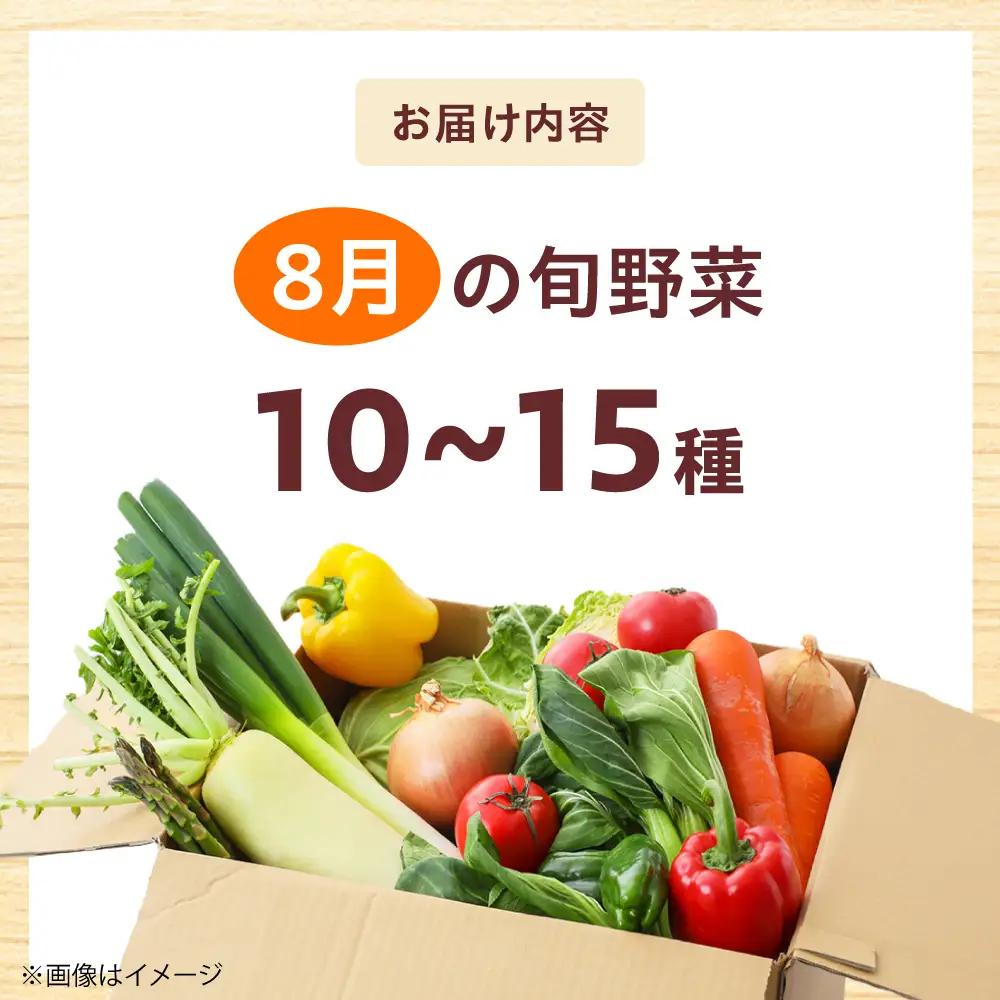 高槻野菜おまかせ詰め合わせセット 8月（10種〜15種）[AOCS014] 野菜セット