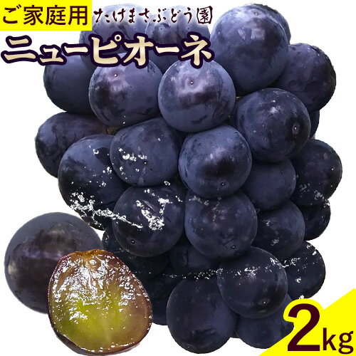 【ふるさと納税】【先行予約】訳あり ぶどう ニューピオーネ ご家庭用 計2kg たけまさぶどう園 《2025年7月下旬-10月上旬頃出荷》岡山県 浅口市 送料無料 フルーツ 果物 岡山県産 青果物 お取り寄せフルーツ【配送不可地域あり】(離島)