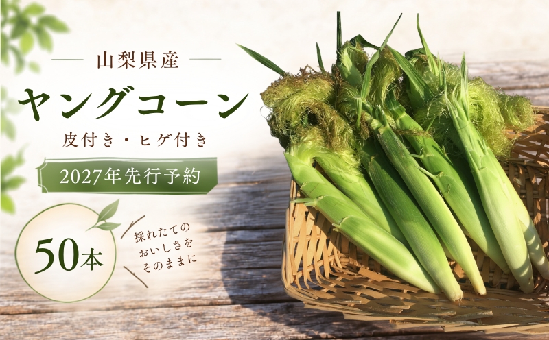 【2027年 先行予約】もぎたて発送！山梨県産 ヤングコーン 50本【栄養たっぷりヒゲ付き！】 ||  炭野菜 野菜 とうもろこし 間伐材 炭 肥料 SDGs 炭香ファーム ヤングコーン