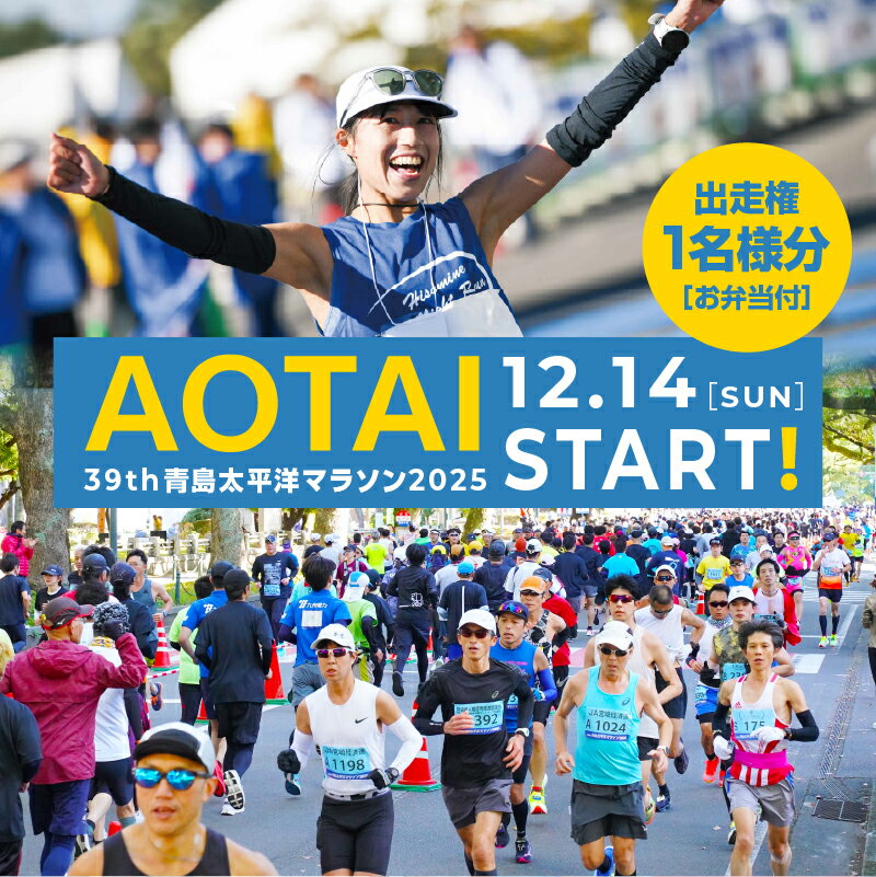 【ふるさと納税】【先着100名限定】第39回青島太平洋マラソン2025出走権【2025年12月14日開催】 青島太平洋マラソン 青島 青島太平洋 マラソン 2025年 宮崎県総合運動公園 宮崎市 トロピカルロード 宮崎県総合運動公園 AOTAI スポーツ 運動 参加権 宮崎県 宮崎
