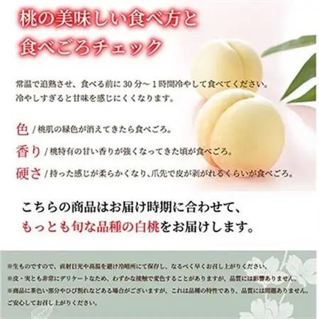 【先行受付】岡山白桃 エース 3玉×250g(2Lサイズ) 岡山県産【配送不可地域：離島・北海道・沖縄県】【1305725】